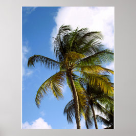 Plakat mit Palme