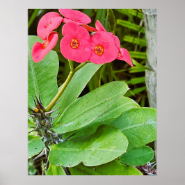 Plakat mit rosa Blume