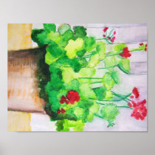 Plakat - Pelargonien im August