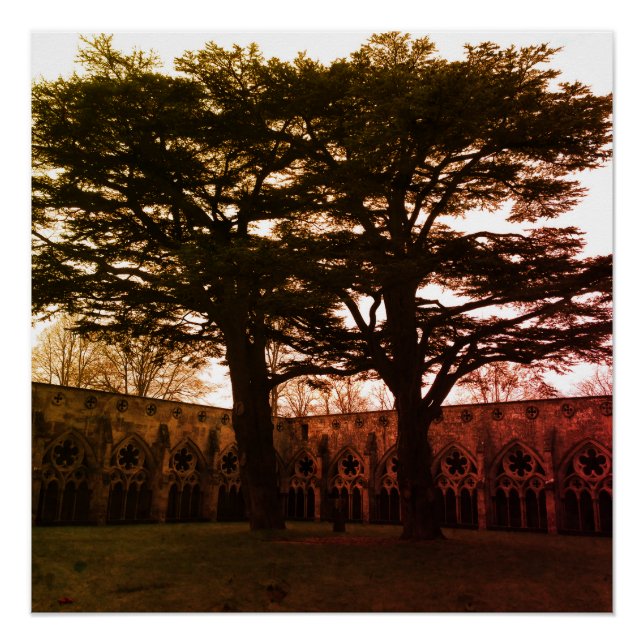 Plakat 'Tryst of Trees' Poster (Vorderseite)
