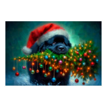 Plakat von Newfie, der einen Weihnachtsbaum trägt