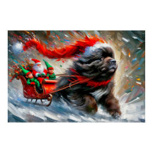 Plakat von Newfie zieht Santas Schlitten