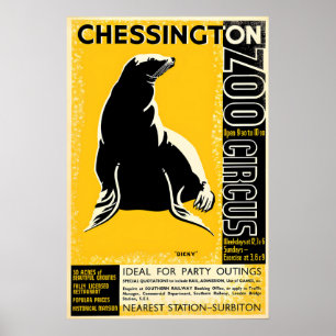 Plakat Zoo Chessington (Seal)