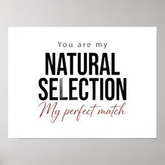 Plakat zur natürlichen Selektion Biologie Wissensc