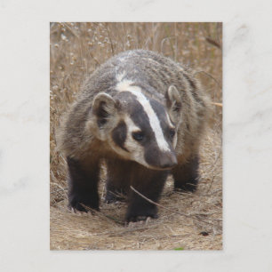 Plakatanflug Postkarte