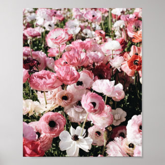 Plakatdruck mit rosa und weißen Blumen Poster