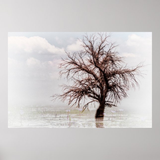 Plakate einen SINGLE BAUM IN EINEM SCHWIMMBAD MIT  (Vorne)