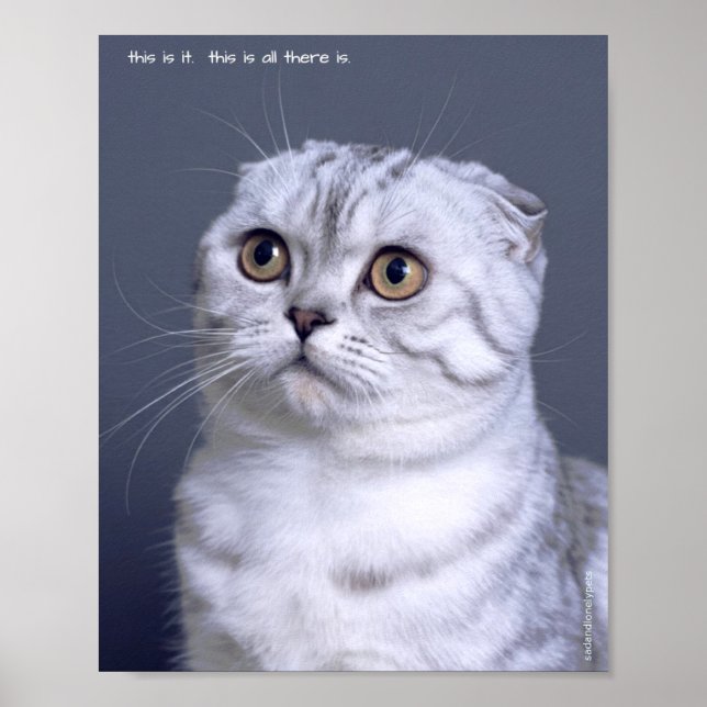 Plakatwerbung für traurige und einsame Haustiere:  Poster (Vorne)