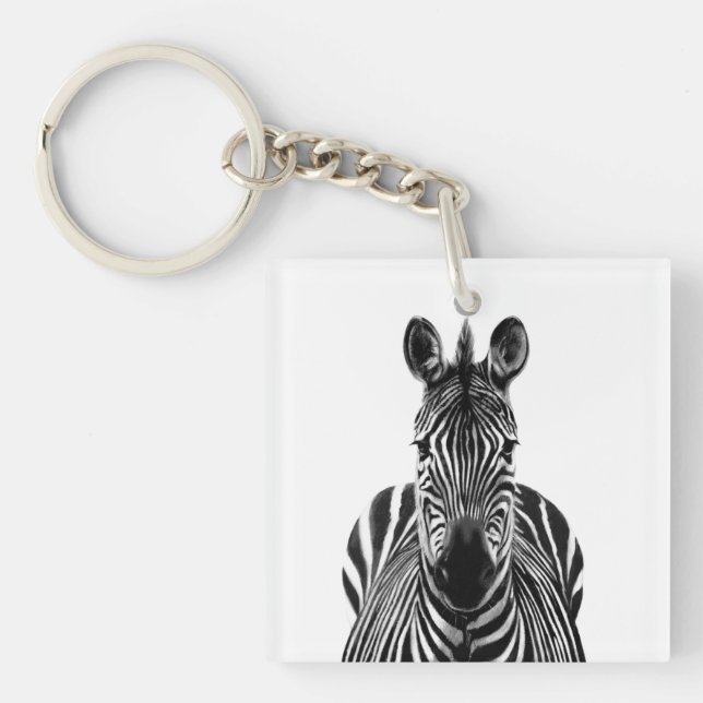 Plan de sauvegarde III (Devant)