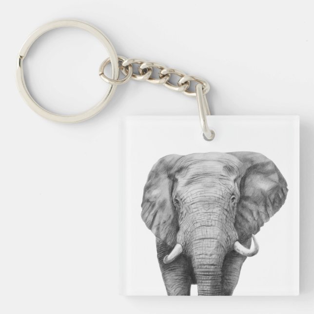 Plan de sauvegarde IV (Devant)