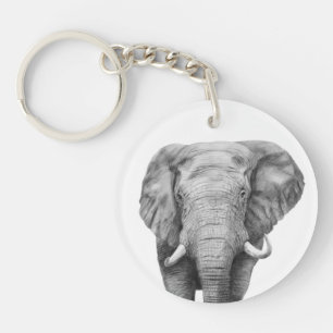 Plan de sauvegarde IV