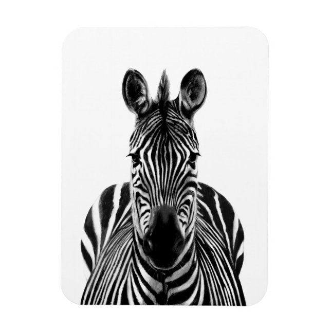 Plan III Magnet (Vertikal)