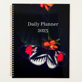Plan papillon quotidien 2023