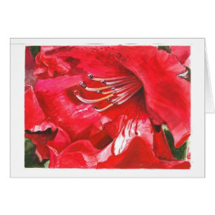 Plan rapproché de rhododendron