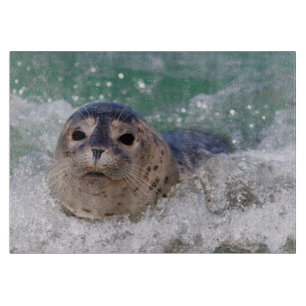 Planche À Découper A baby seal surfing
