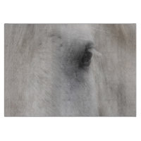 Âme de cheval blanc aux yeux expressifs