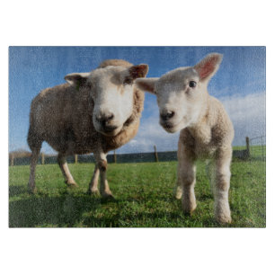 Planche À Découper Animaux de bébés cutest Agneau nouveau-né & mama