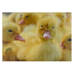 Planche À Découper Animaux de bébés cutest Baby Duck Group