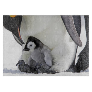 Planche À Découper Animaux de bébés cutest Baby Empereur Penguin