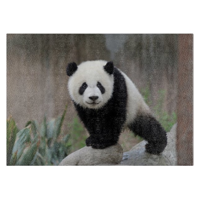 Planche À Découper Animaux de bébés cutest | Baby Panda géant (Devant)