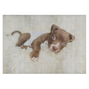 Planche À Découper Animaux de bébés cutest   Baby Pit Bull Puppy