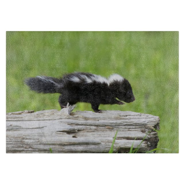 Planche À Découper Animaux de bébés cutest | Bébé Skunk (Devant)
