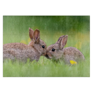 Planche À Découper Animaux de bébés cutest   Bunny Kiss