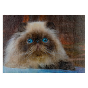 Planche À Découper Animaux de bébés cutest   Chat himalayen