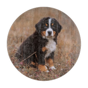 Planche À Découper Animaux de bébés cutest   Chien de montagne bernoi