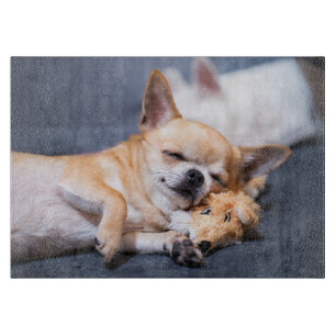 Planche À Découper Animaux de bébés cutest Chihuahua Chig aux cheve