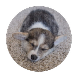 Planche À Découper Animaux de bébés cutest   Corgi Chiot sur Shag Rug
