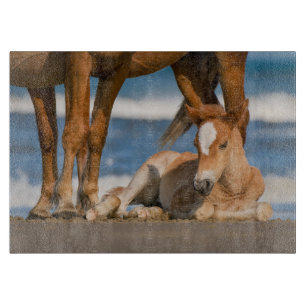 Planche À Découper Animaux de bébés cutest   Corolla nouvellement née