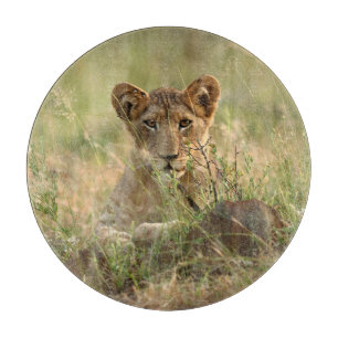 Planche À Découper Animaux de bébés cutest Cute Baby Lion Cub