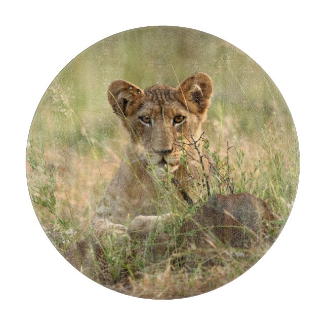 Planche À Découper Animaux de bébés cutest | Cute Baby Lion Cub (Devant)