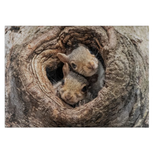 Planche À Découper Animaux de bébés cutest   Deux jeunes écureuils