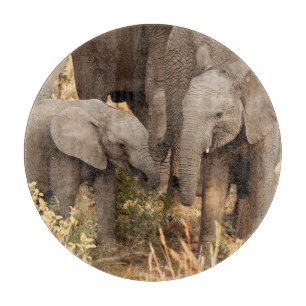 Planche À Découper Animaux de bébés cutest Deux jeunes éléphants