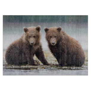 Planche À Découper Animaux de bébés cutest Deux petits ours d'ours