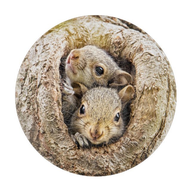 Planche À Découper Animaux de bébés cutest | Écureuils curieux (Devant)