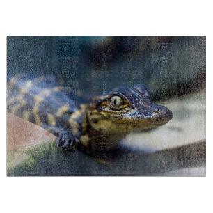 Planche À Découper Animaux de bébés cutest Jeune alligator