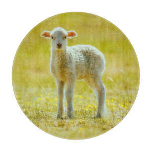 Planche À Découper Animaux de bébés cutest Jeune mouton