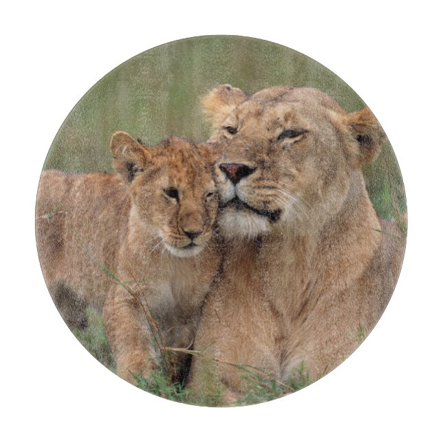 Planche À Découper Animaux de bébés cutest | Lion Cub & Mother (Devant)