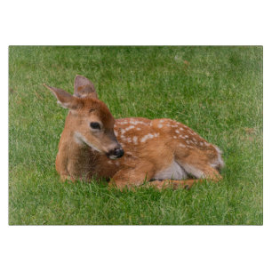 Planche À Découper Animaux de bébés cutest Little Fawn
