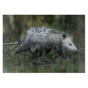 Planche À Découper Animaux de bébés cutest   Opossum Maman & Kids