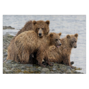 Planche À Découper Animaux de bébés cutest   Ours et oursons