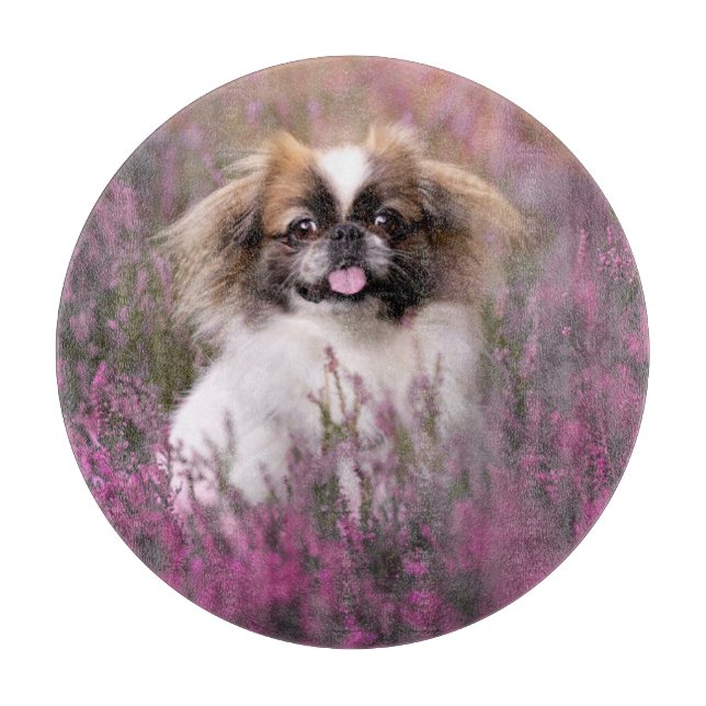 Planche À Découper Animaux de bébés cutest | Pekingese Puppy (Devant)