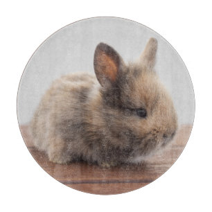 Planche À Découper Animaux de bébés cutest   Petit lapin bébé