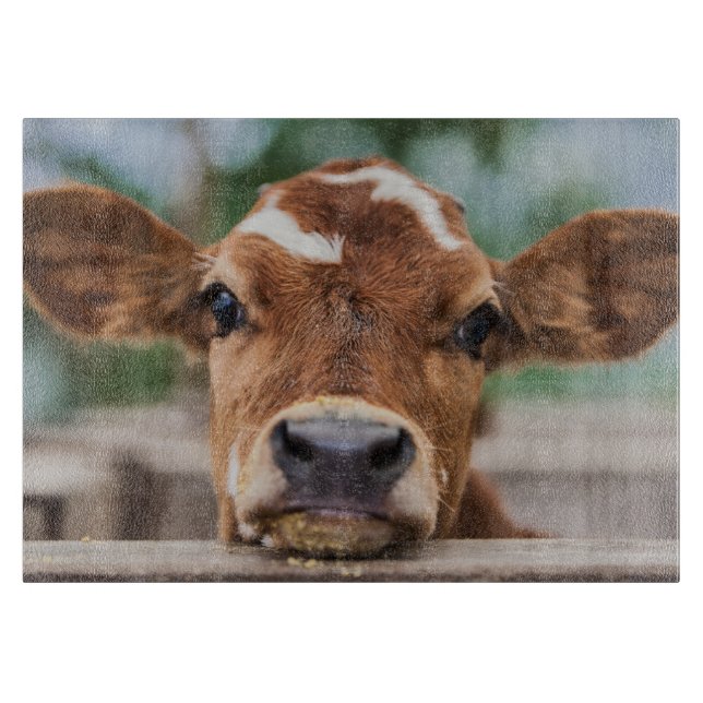 Planche À Découper Animaux de bébés cutest | Petite vache (Devant)