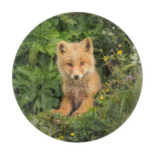 Planche À Découper Animaux de bébés cutest   Renard rouge à Umnak Ala