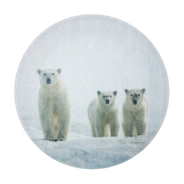 Planche À Découper Animaux de bébés cutest | Trois jeunes ours polair (Devant)