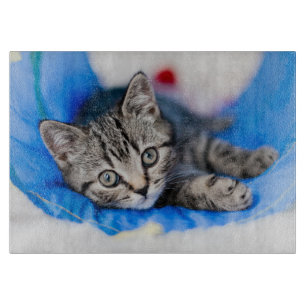 Planche À Découper Animaux de bébés cutest   Tunnel Tabby Kitten en J